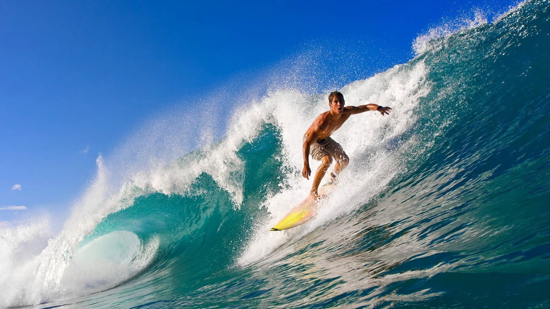 体育赛事数字化管理系统，csi中国体育2021数字创新大赛